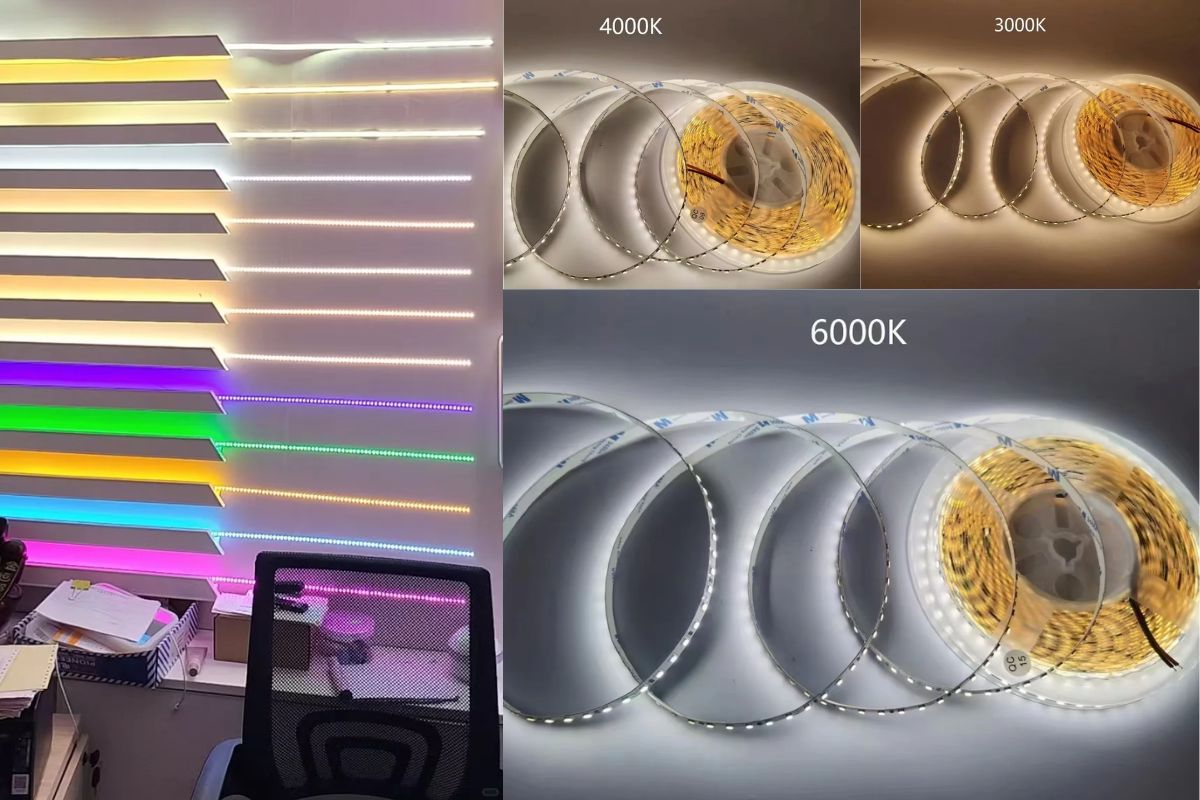 Phụ kiện LED VH Lighting ảnh 3